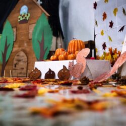 581837933_1407026568105043_6764013045309927962_n