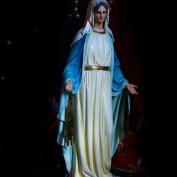 591366802_1419414363532930_2657750823835568547_n