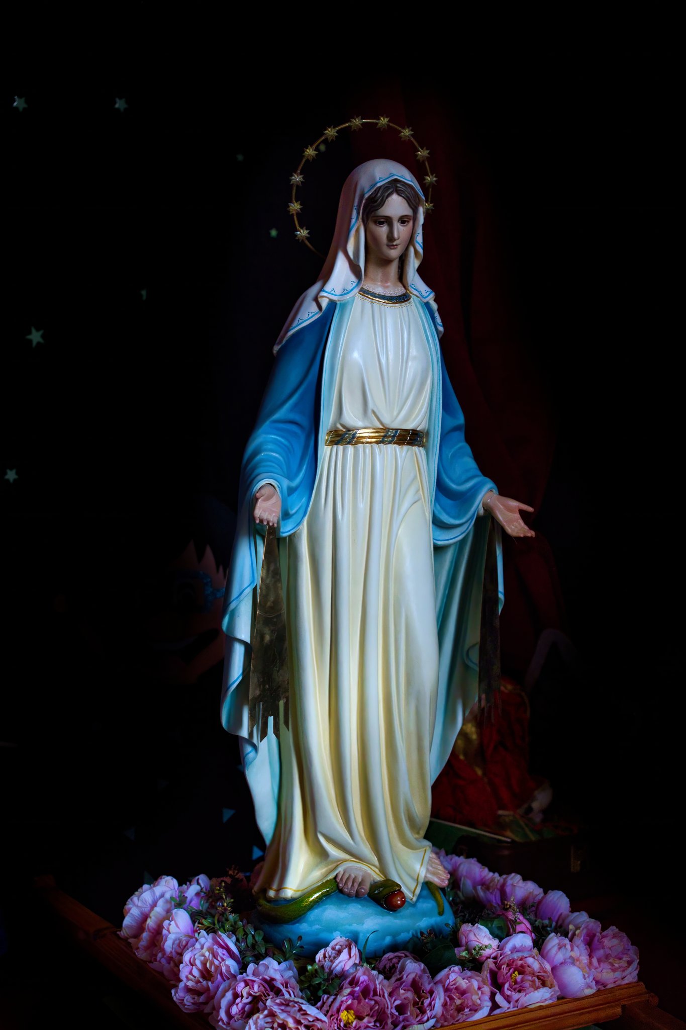 591366802_1419414363532930_2657750823835568547_n